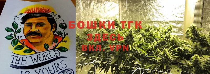 Бошки Шишки OG Kush  гидра ссылки  Покачи  закладка 